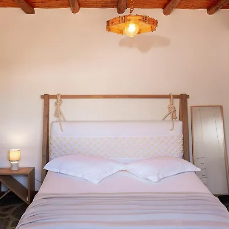 Plane Tree In Parikia Parikia (Paros)