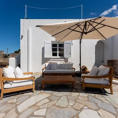 Plane Tree In Parikia Villa