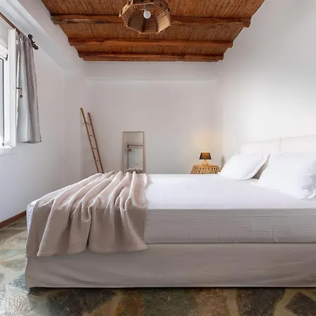 Plane Tree In Parikia Villa Parikia (Paros)