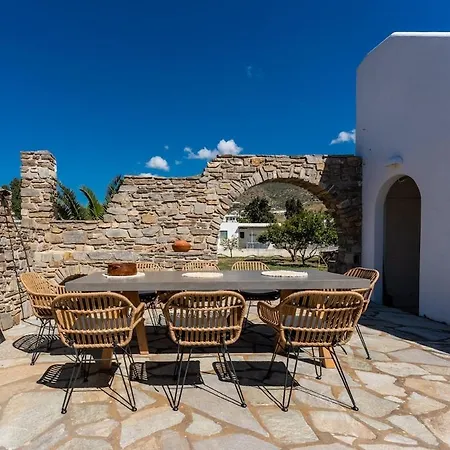 Plane Tree In Parikia *